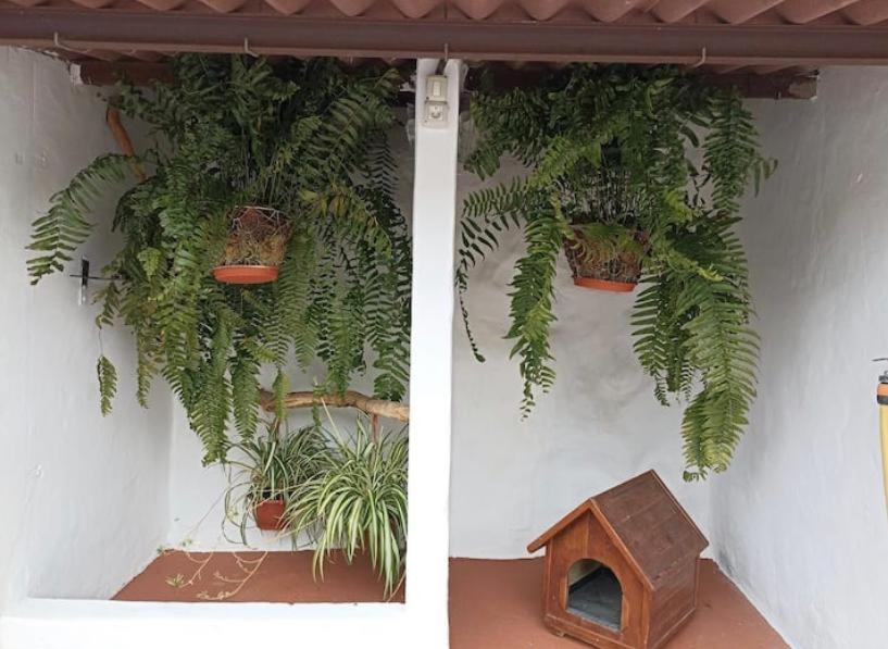 Casa Rural La Yedra San Mateo Arbejales Zewnętrze zdjęcie