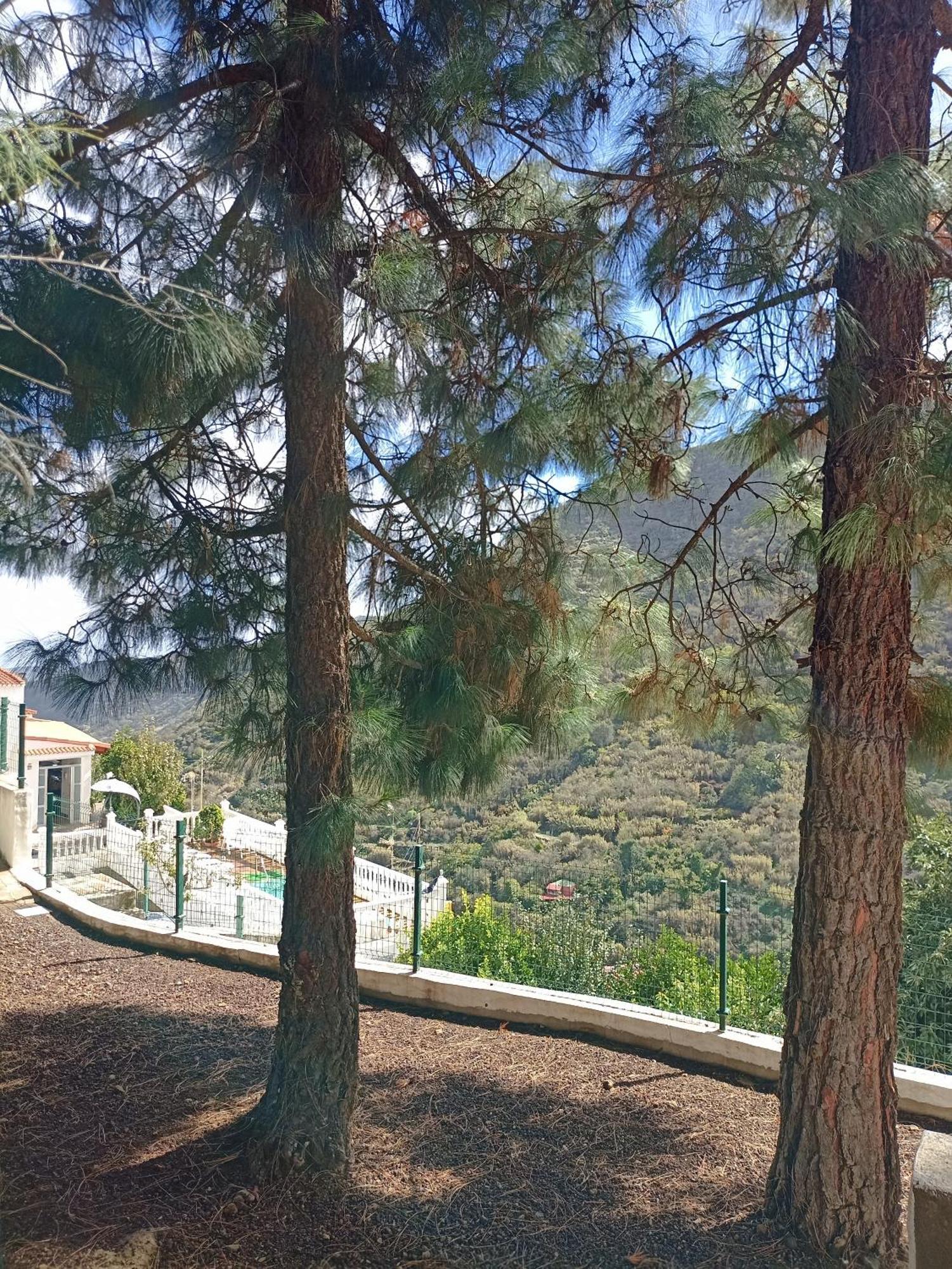 Casa Rural La Yedra San Mateo Arbejales Zewnętrze zdjęcie