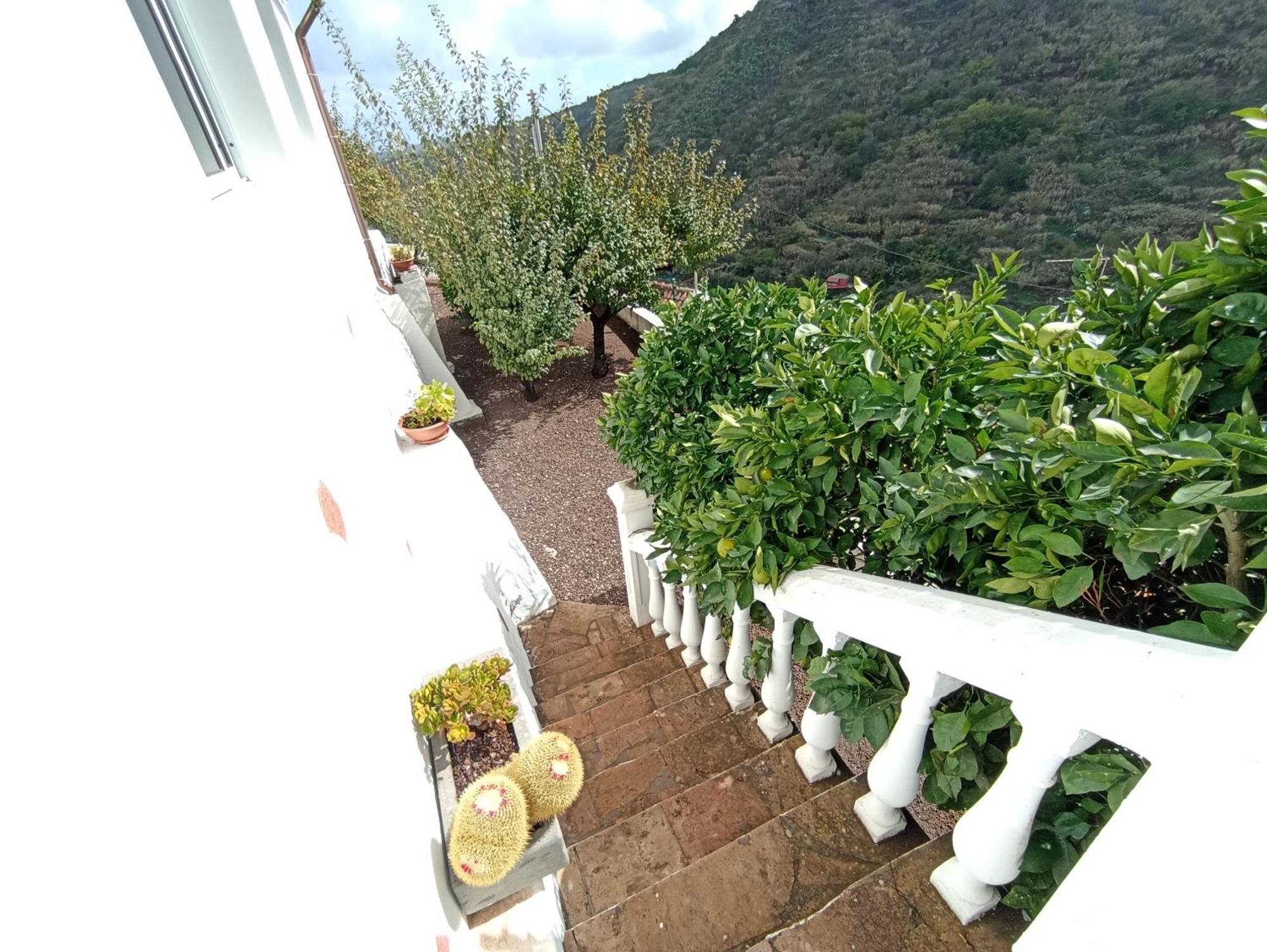 Casa Rural La Yedra San Mateo Arbejales Zewnętrze zdjęcie
